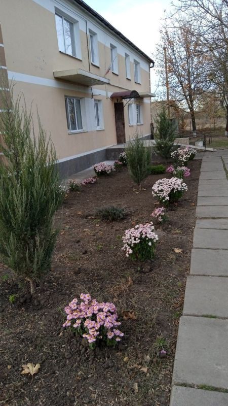 "����� ����, �� ����"- ��� ����� ��������� ������ ����� �� ��������������� ���������� � ����������� �� ���������, ����������� ��� ��������� ��������