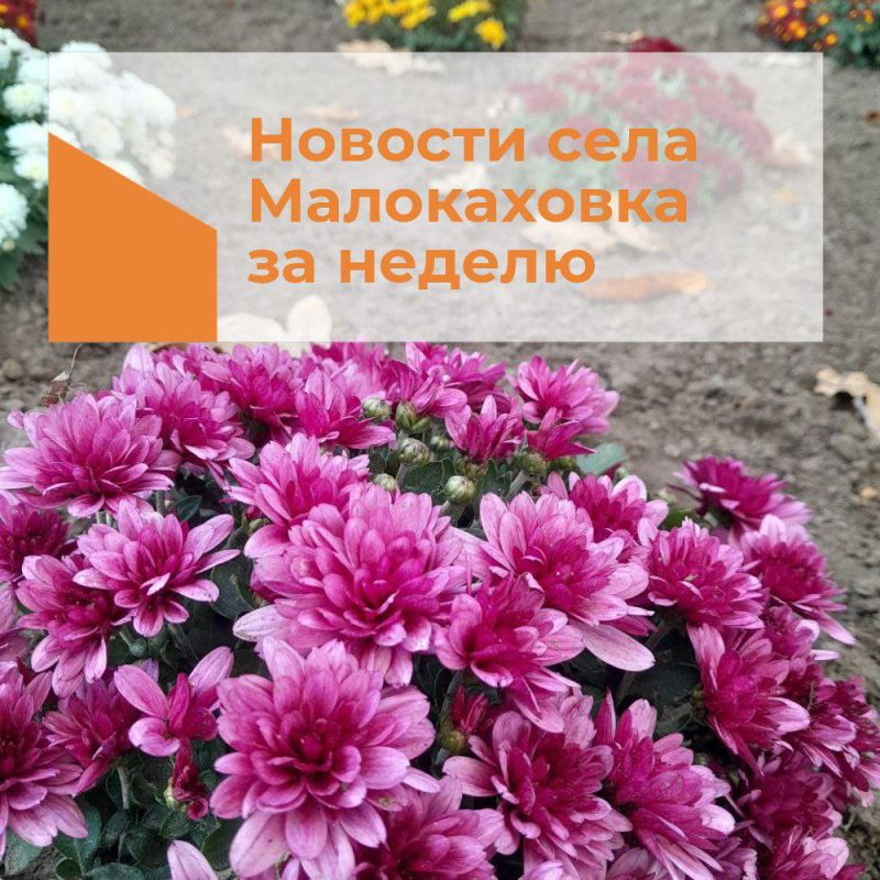 ������� ���� ����������� � 30 ������� �� 5 ������