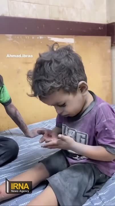 "����������" ����, �������� ���� ������ �������