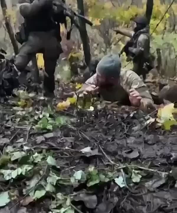 ���� ����� � ���� ��������� ��������, ����� 10 �������