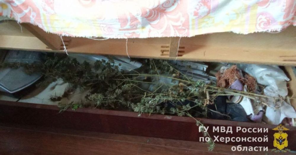 ����������� � ���������� ������ ����� � ������� � �������� ������ ���������