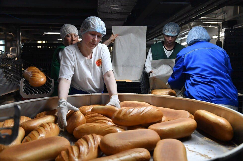 ���, ���, ����������� �������, ���������� �������