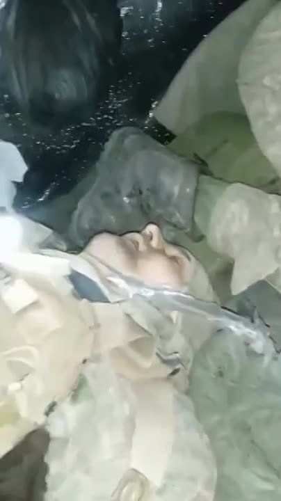 ����� ����. ��������������: