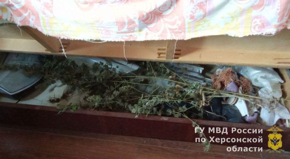 ����������� � ���������� ������ ������ ������� ������ ��������� � ������ ���� ��������