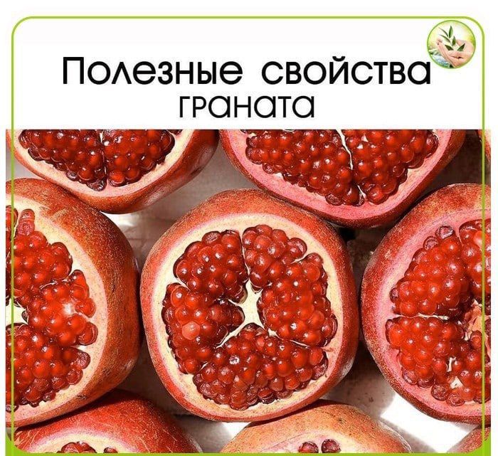 ������ � �� ������ �������, �� � ����� �������� �����, ������� ����������� ����� ���� �����, ���������� �� ���������� ������ � ����� ��� ������, ����������� ���������� ������