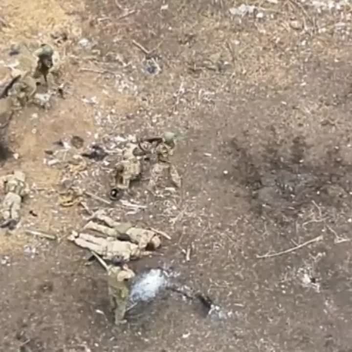 ����� ��� ������� "�����". ��������������: