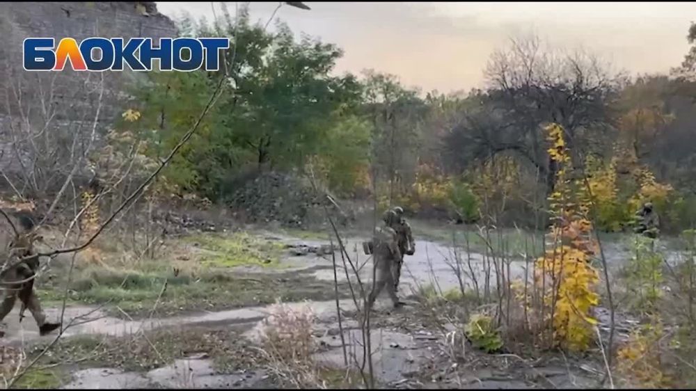 ������ ����� �������� ���������� ���������, ��� ������ ������