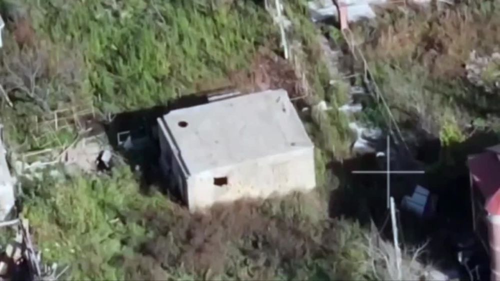 ���������� ������ ����� ������ �� ���������� �����������