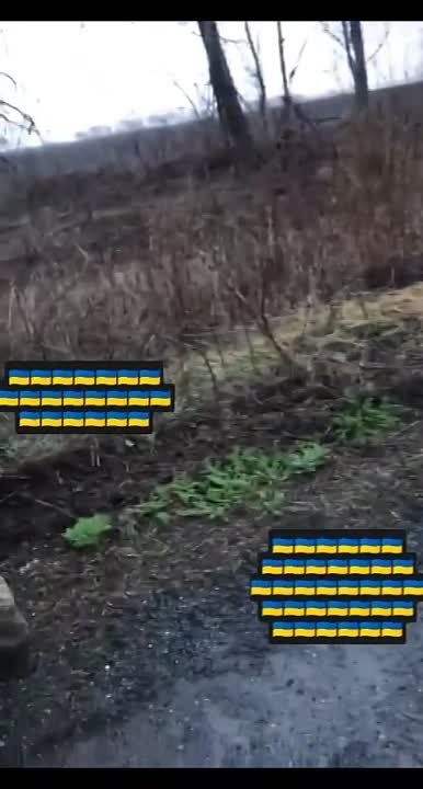 ��� �������� ������� ��� ���������� ���� �� ����