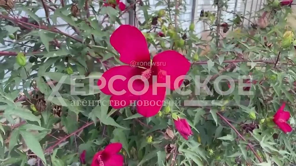 ���������� ���� � ��� �� ������ ������������� ����������