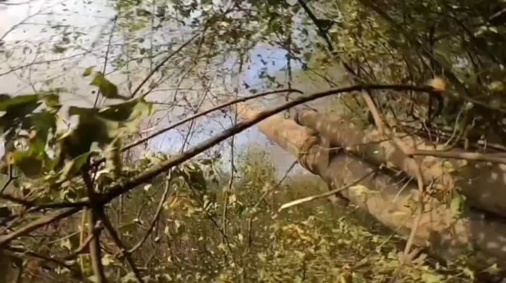 ����������� �������� �� �������� ����� �� ������� ���������� ����� �������� ������������ �������, � ����� ����������� �����������