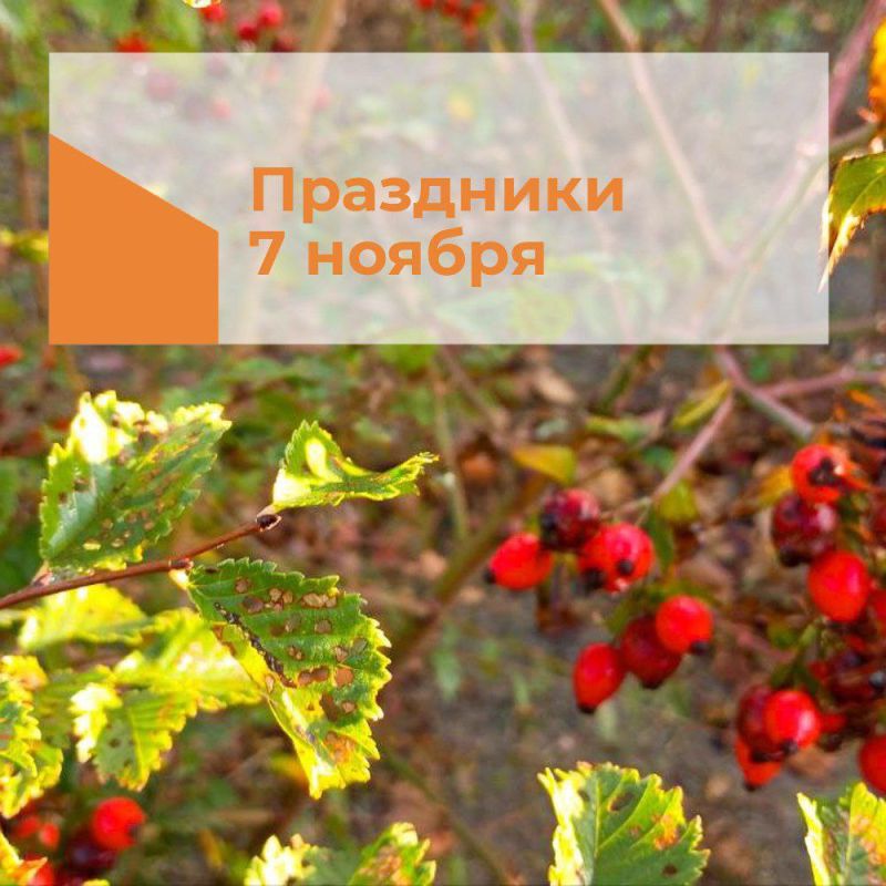 ��������� 7 ������. ���� �������� � ����������