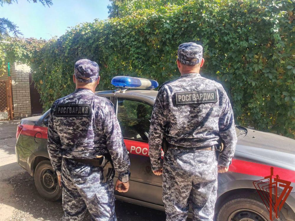 ���������� ���������������� ������ ���������� ���������� �� ���������� ������� ������� ����������� ������ �������� �������� � ������ ���������