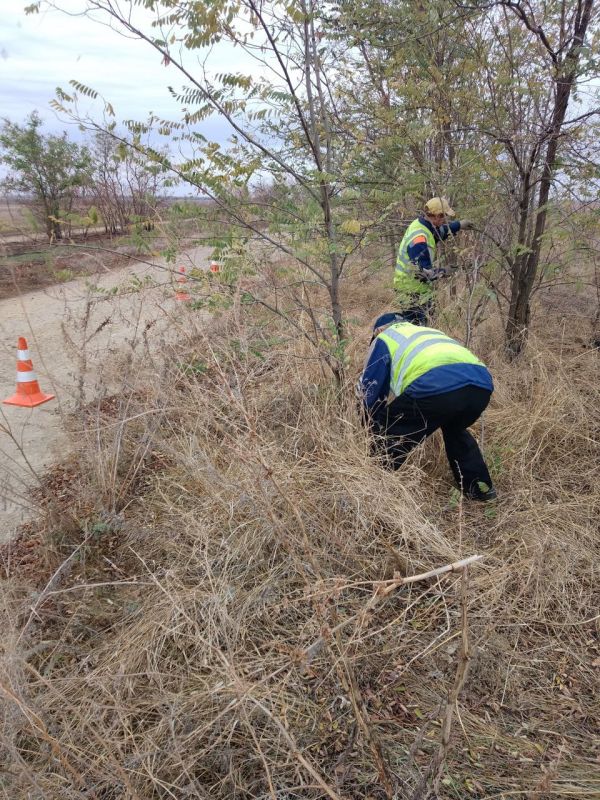 � ���������������� ������������� ������ ��������� ������� �������� � ����������� �� ������� ����������