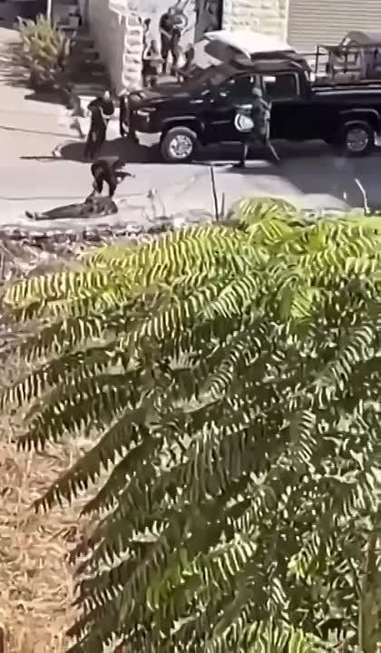 ������� ���������� ��������� ������� ������ ����������� ���������