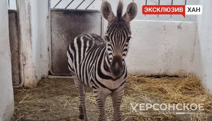 ���������� � ���� ���� � ��������-���� ������ �������� � ����� ��������� ������