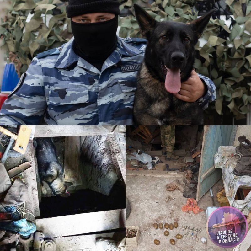 ����������� ���� � ��������� ������ ������� ���������������� ����� ���������� ���������� ��� � ������