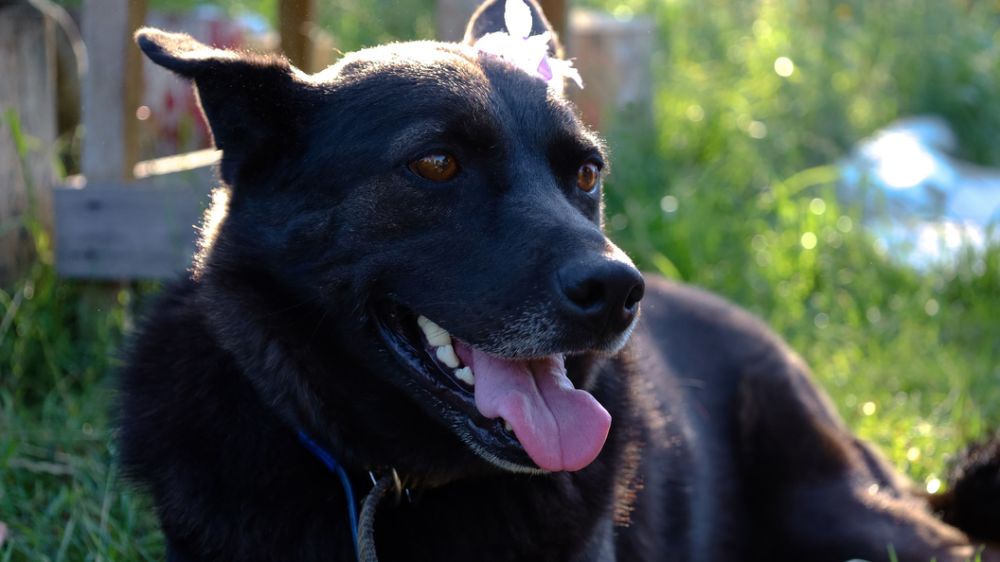 ��������� ������ ������� ����� ����� � ���������� ������