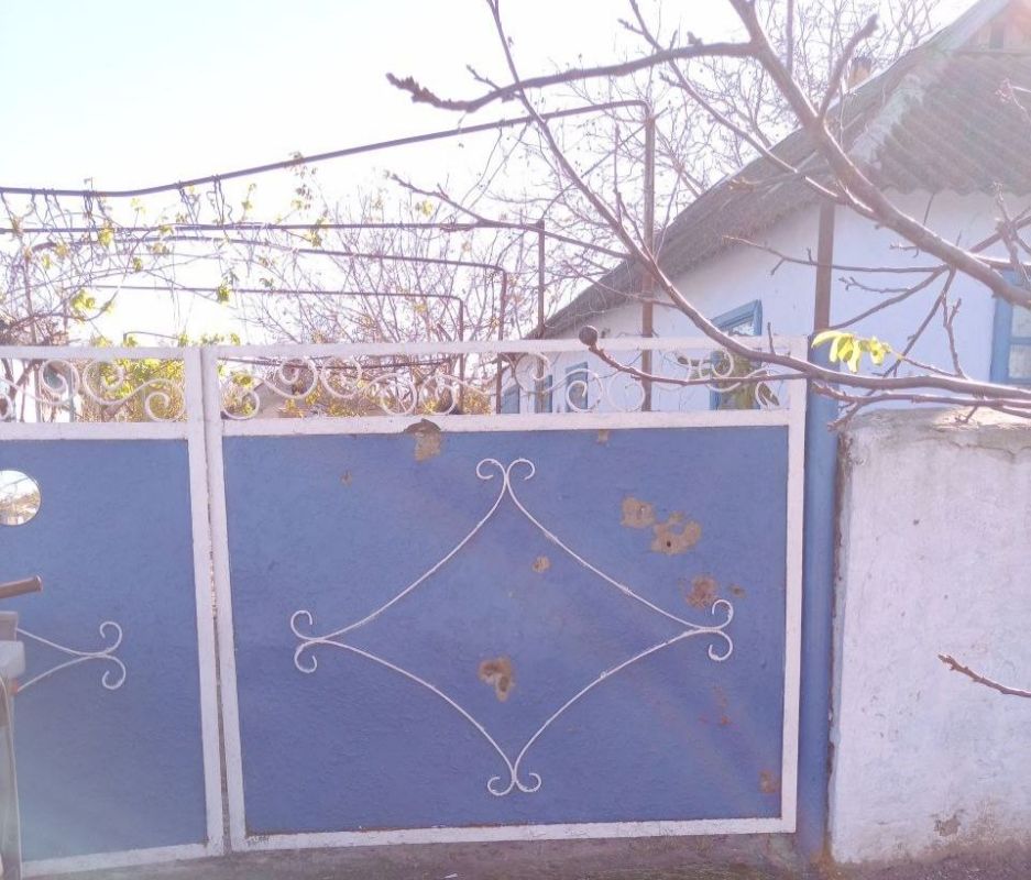 ����� 35 ������ ��� ���� ������������� � �������������� ������ �� �������� �����