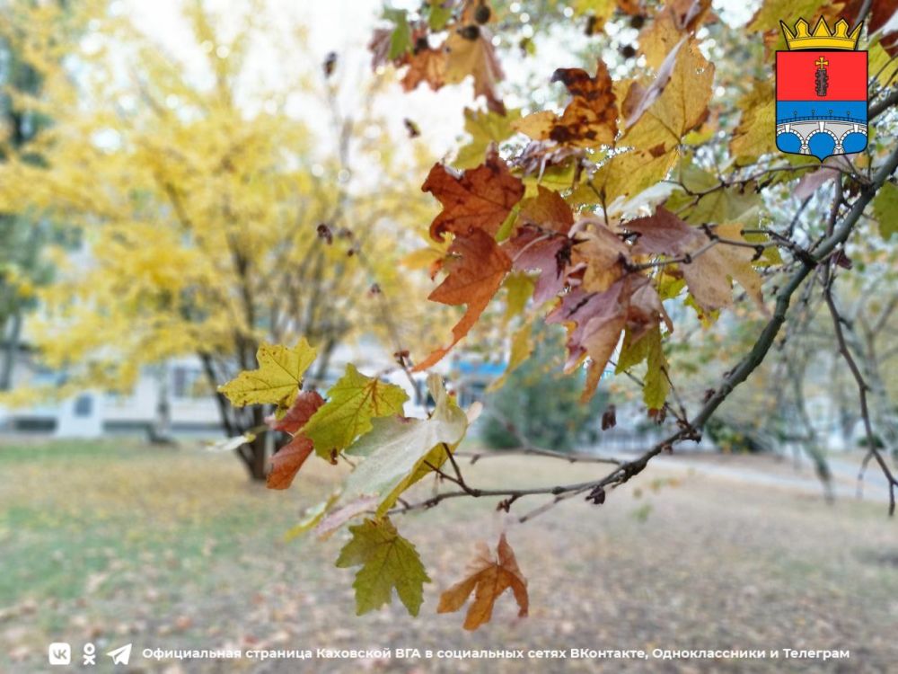 ������ ����, �������!. @VGA_Kakhovka