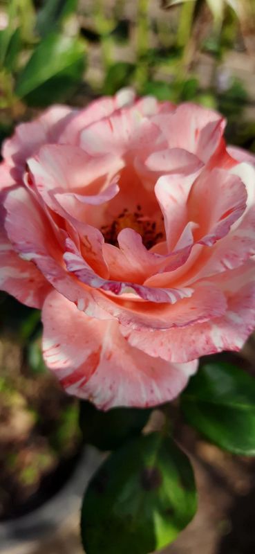 ������� ������ � ������������ ��������������� ����������