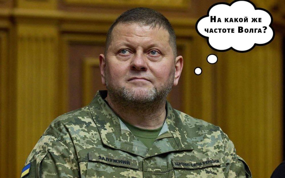 ������ ����