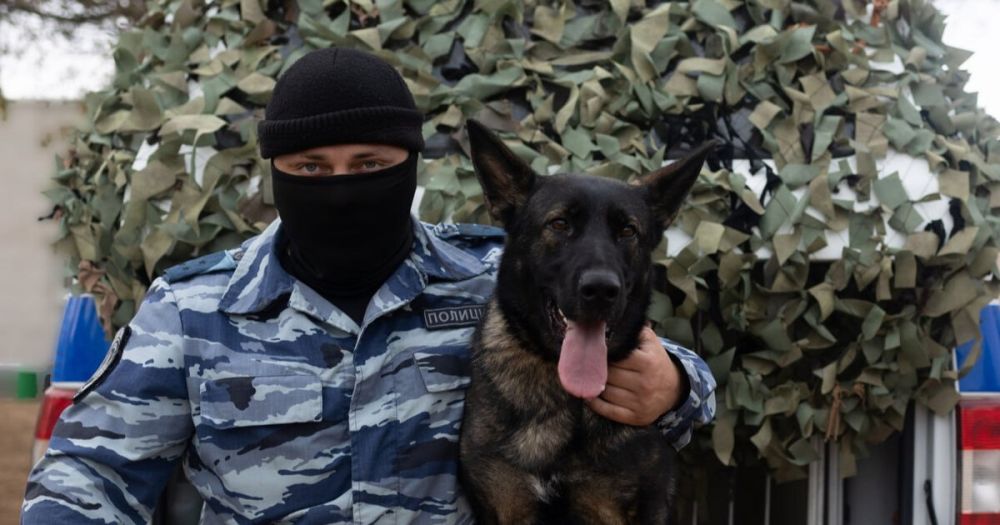 ��������� ������ ������� ����� ���������� � ������� ����������� ������