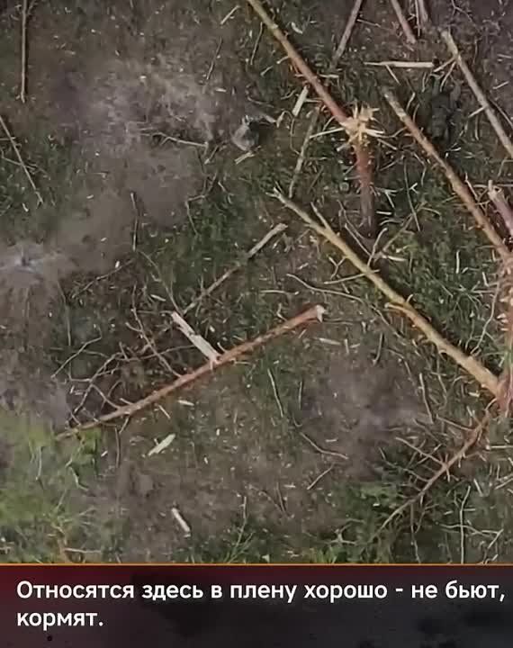 ��� ���, ���� � ������-���� ��������� � ������� ������� ��� ���������� � ��������� ���������� �����