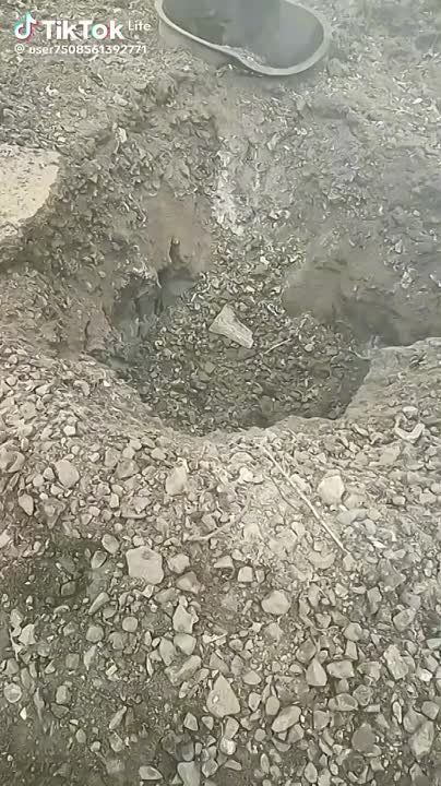 ���������� �����������, ����� ������������ �����