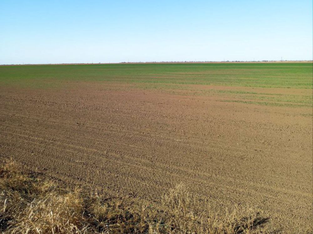 � ���������� ������ ������������ ������� ������