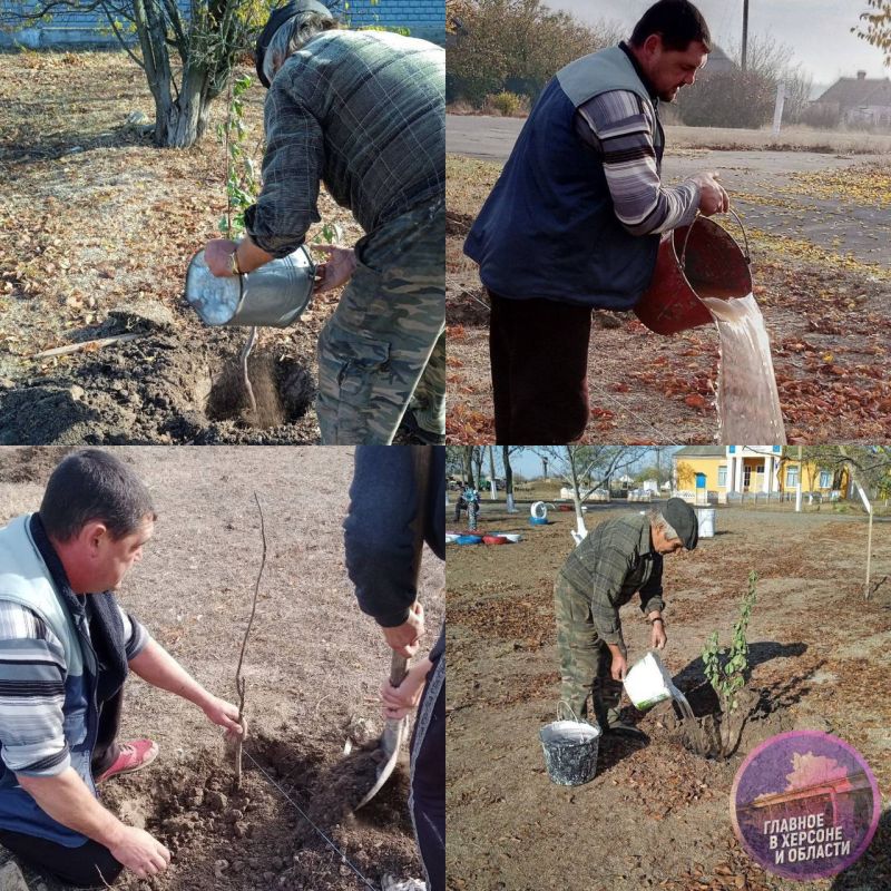 � ������� ������������ ������� ������ � �������� � ��� ��������� ����� ������ ����� ���������� �������� ������������