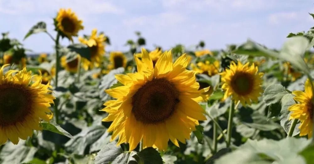 ����� 400 ����� ���� ������������� ������� � ���������� �������