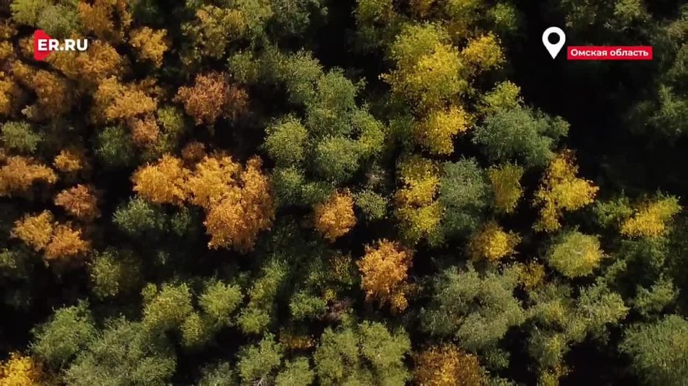 ���� ������ �������� ������� � ���������� ���������