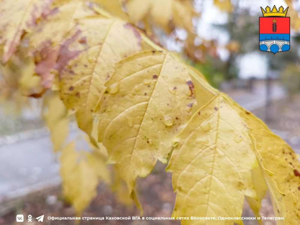 ������ ����, �������!. @VGA_Kakhovka