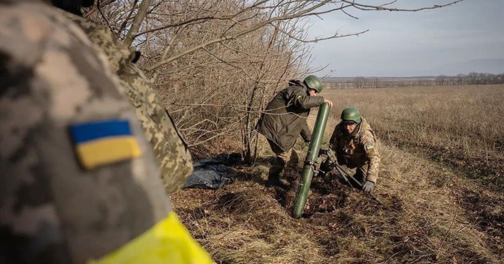 ������ ���� ���������� ����� � ��� ��������� 15 ���������� ������� ����������