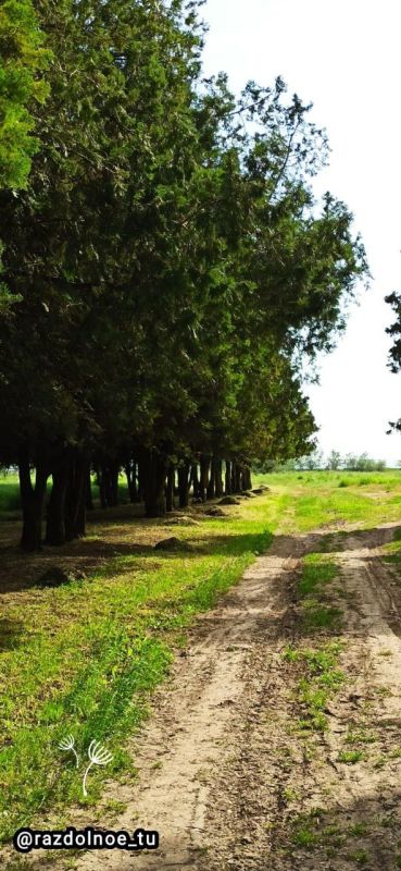 ����������! � ������ �����!