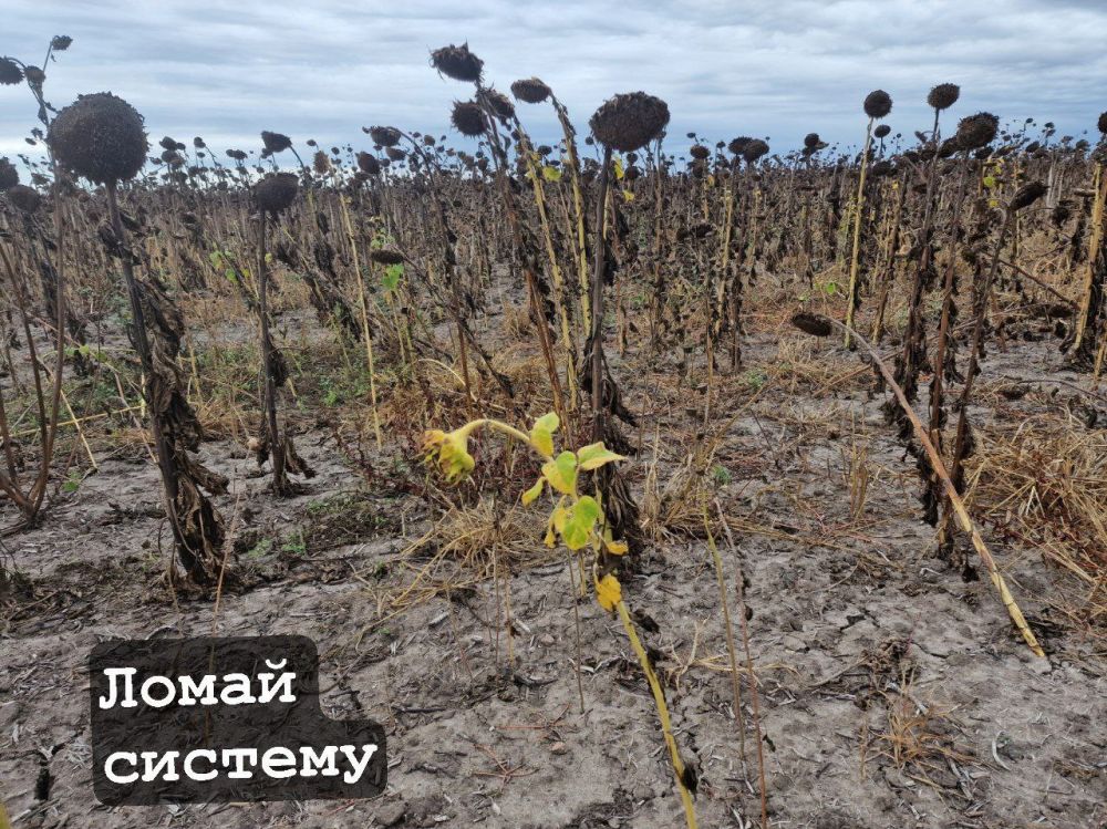 ���������� �����, ���������� �������