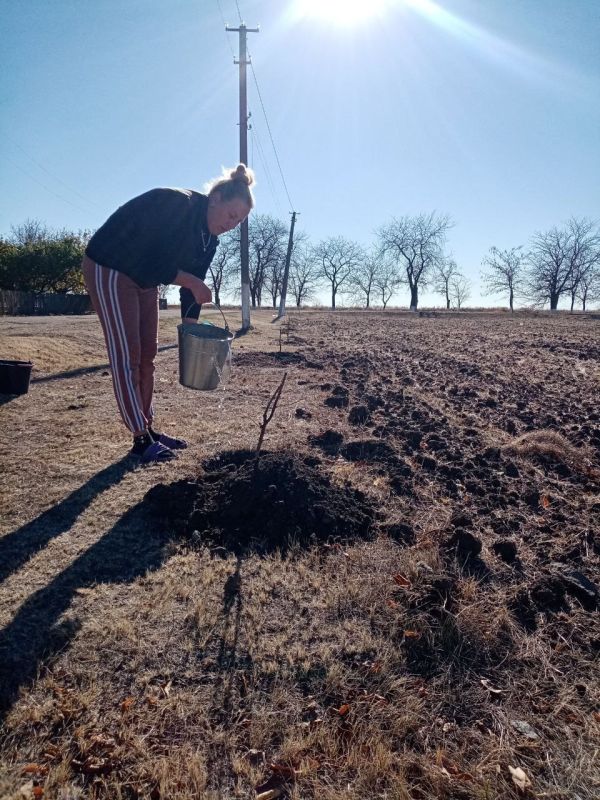 � ������� ������������ ������ �� ���������� ����