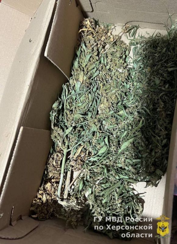 � ���������� ������� ����������� ������ � ������ ����������� ������ ������������� ������������� �������