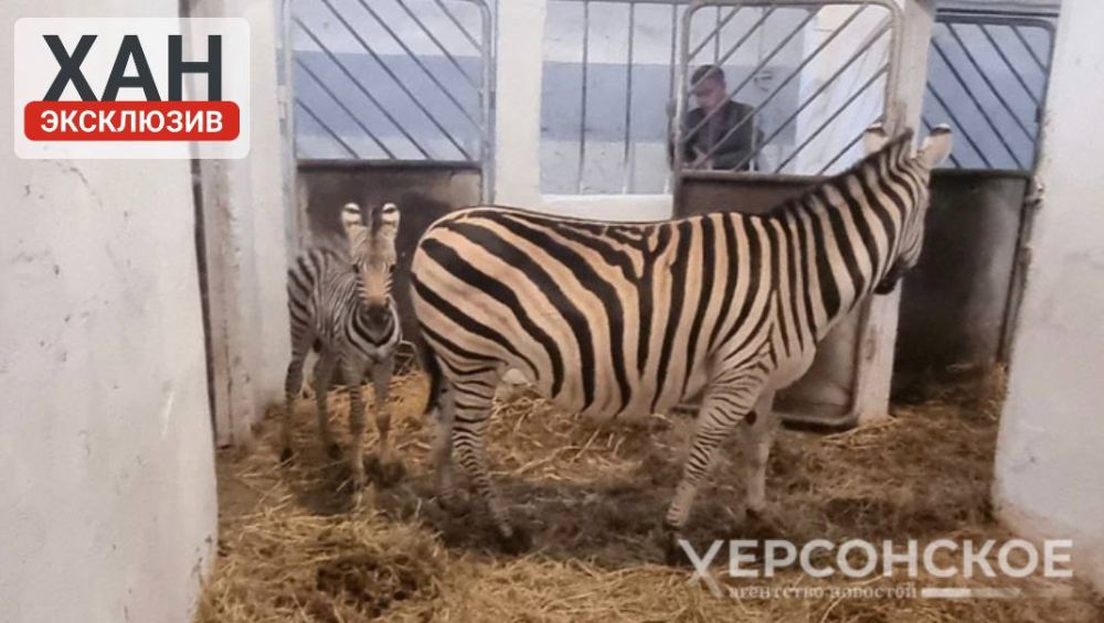 ��� ��������� � ���� ���� � ��������-���� �������� ��������� ���� ������