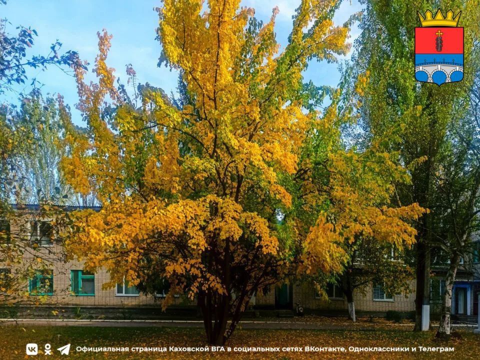 ������ ����, �������!. @VGA_Kakhovka