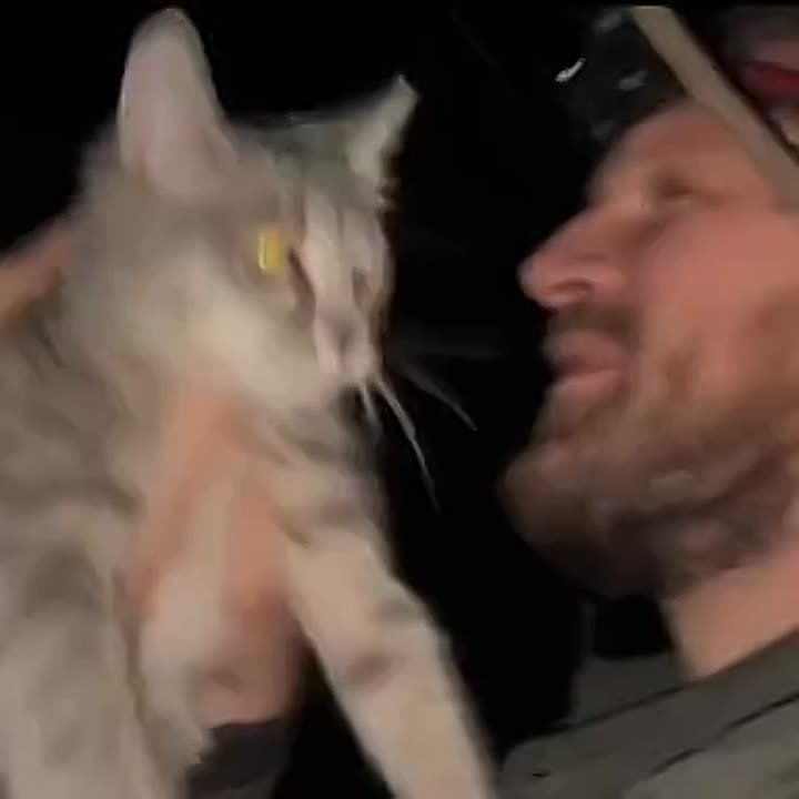 � ���������� ������� ����������� ���������� �� ������� ���� ������������ 3 �������������� �������