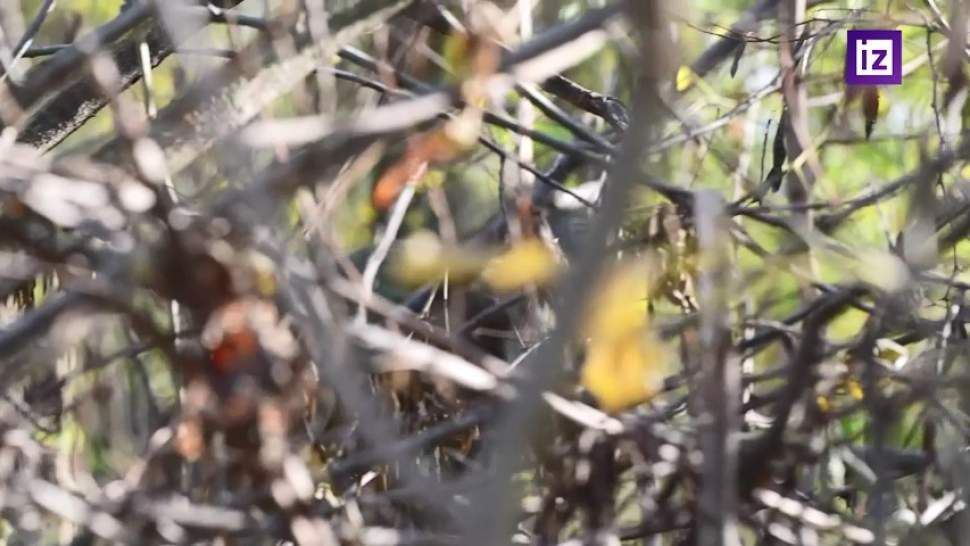 ��� �������� �� ����� �� ���������� ����������� �� 75 ��������������