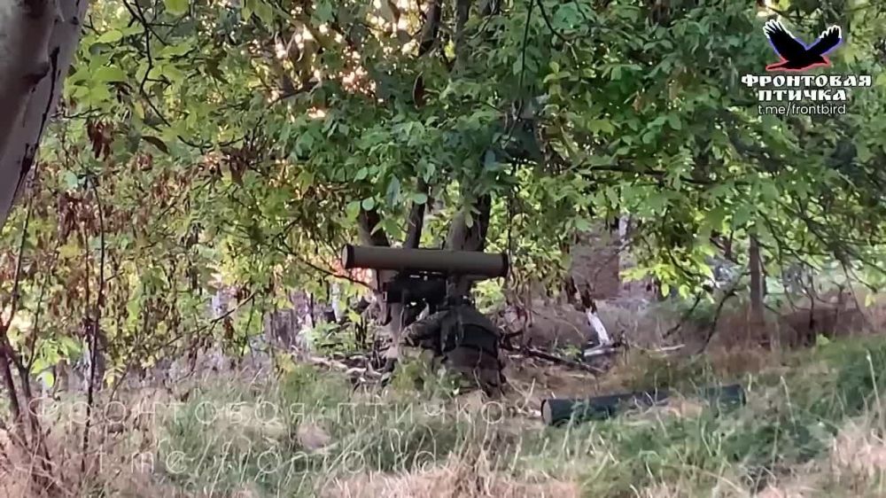 ���������. ���������� �����������. ����������� ��������������� ������ ��� � �����