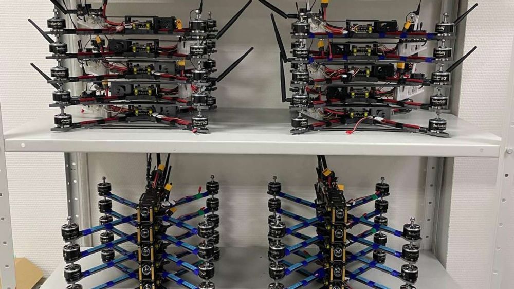 �����-��������� "�����������" ����� ������� ����� � ���� ���