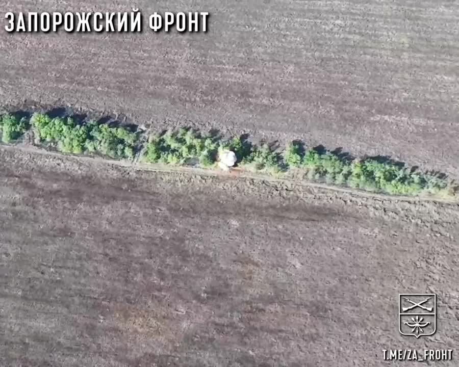 �������� "����" � ������� FPV-������ ���������� ������� ��� �� ����������� �����������