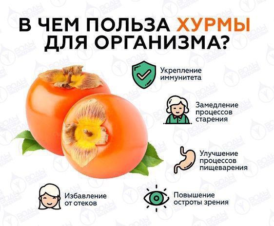 ������ �����.. �������������. �������� �������� ����� � � ������� �������� ���������� ��������������. ���� �� ��� �...