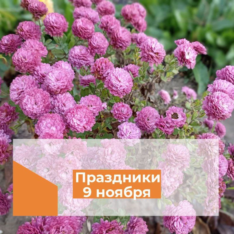 ��������� 9 ������. ������������� ���� ������ �������, ������� � �������������