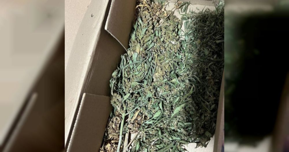 ������� ������� ������� ����� � ���� ������ ������� ��������������