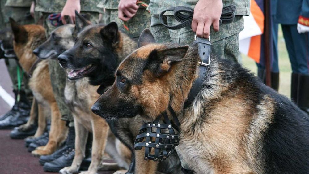 20 ����������� ���������� � ����������: ���������� ������ ��������� � ���������� �������